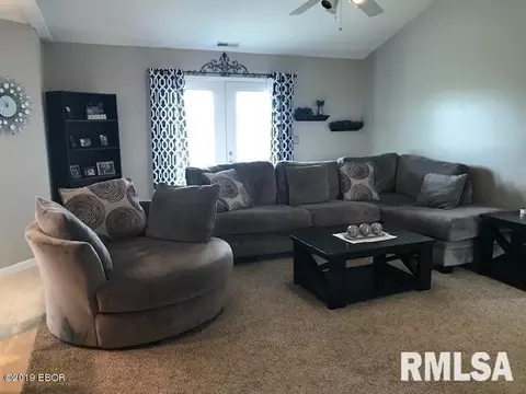 252 Dunivan Rd, Murphysboro, IL 62966 photo 3