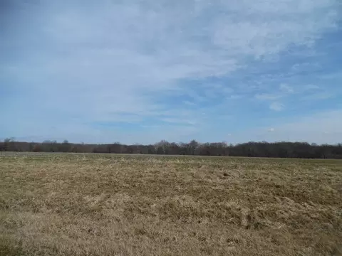 Tract 2 N Mcdermott Lane, Mount Vernon, IL 62864