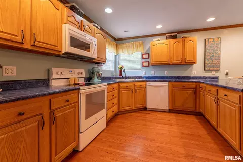 435 Dunivan Rd, Murphysboro, IL 62966 photo 8