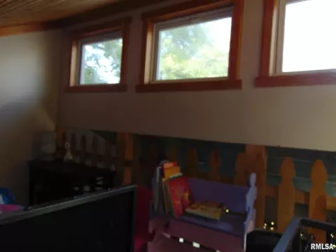 4796 E Mitchell Lake Dr, Mulkeytown, IL 62865 photo 10