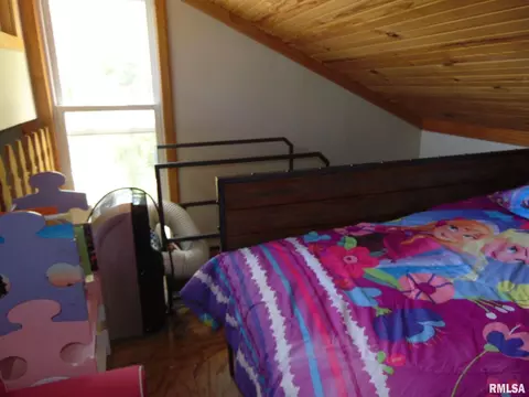 4796 E Mitchell Lake Dr, Mulkeytown, IL 62865 photo 9