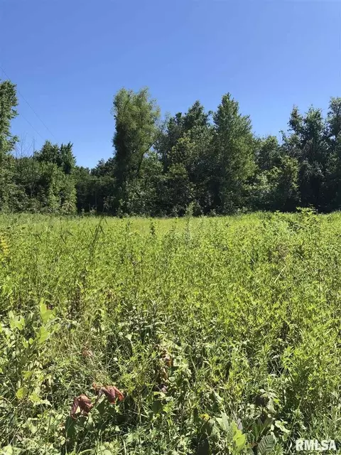 3167 E Mccoy Land, Salem, IL 62881 photo 2