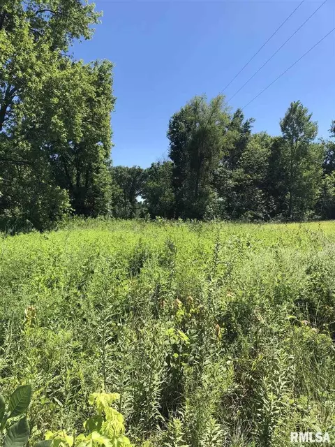 3167 E Mccoy Land, Salem, IL 62881 photo 3