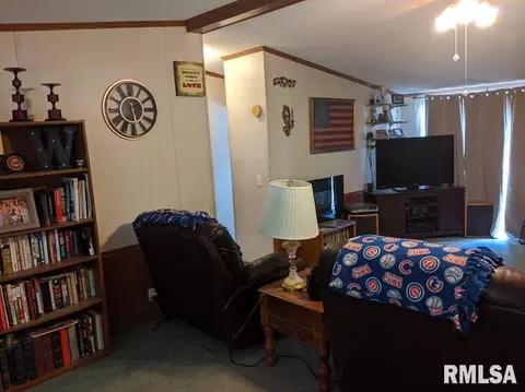 457 E D Ave, Radom, IL 62876 photo 9
