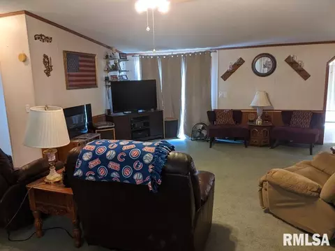 457 E D Ave, Radom, IL 62876 photo 8