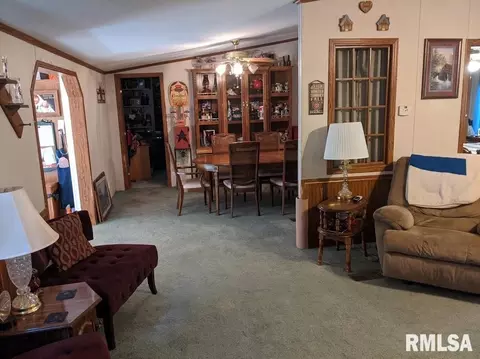 457 E D Ave, Radom, IL 62876 photo 13