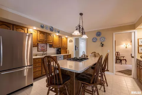 2205 Steeplechase Dr, Marion, IL 62959 photo 16
