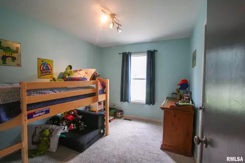 1607 Dain Dr, Carmi, IL 62821 photo 14