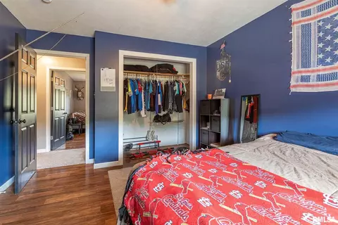 1601 Bates Rd, Ava, IL 62907 photo 29