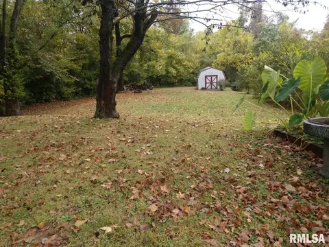 1303 Gartside St, Murphysboro, IL 62966 photo 23