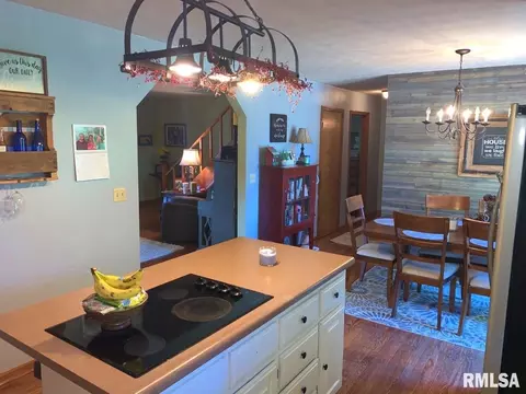 1066 Cedar Lane Ln, Metropolis, IL 62960 photo 18