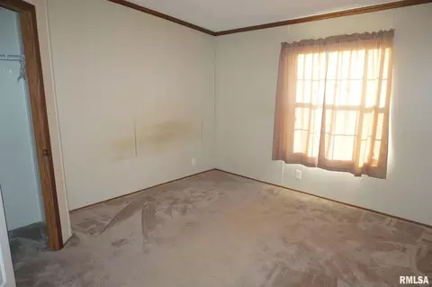 113 Nicholson St, Cobden, IL 62920 photo 20