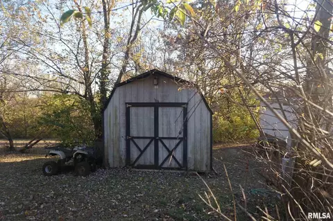 113 Nicholson St, Cobden, IL 62920 photo 41