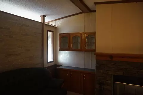 113 Nicholson St, Cobden, IL 62920 photo 27