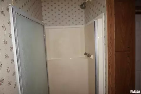 113 Nicholson St, Cobden, IL 62920 photo 13