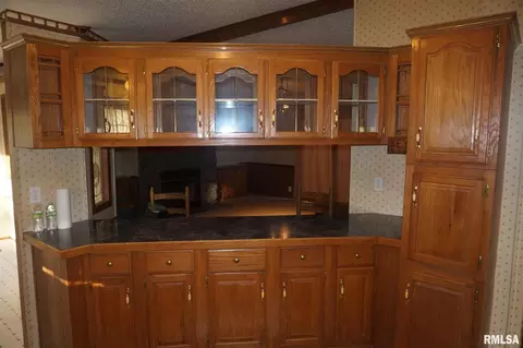 113 Nicholson St, Cobden, IL 62920 photo 5