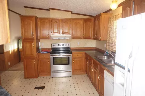 113 Nicholson St, Cobden, IL 62920 photo 6