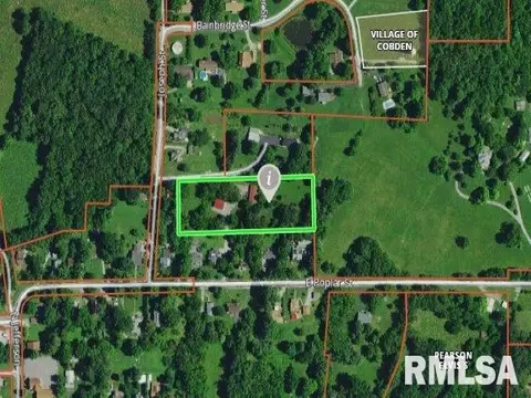 113 Nicholson St, Cobden, IL 62920 photo 50