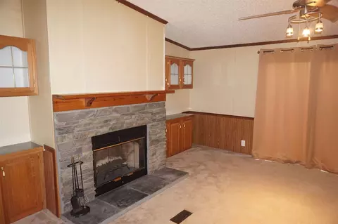 113 Nicholson St, Cobden, IL 62920 photo 4