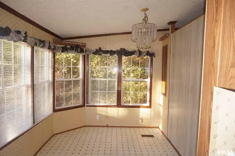 113 Nicholson St, Cobden, IL 62920 photo 7