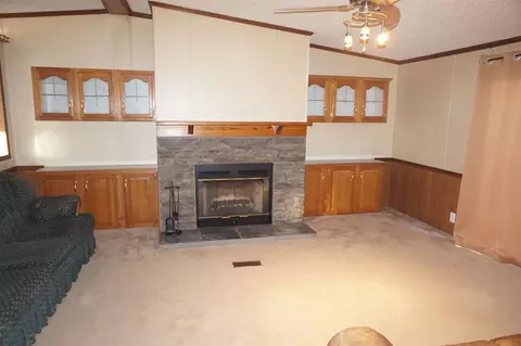 113 Nicholson St, Cobden, IL 62920 photo 3