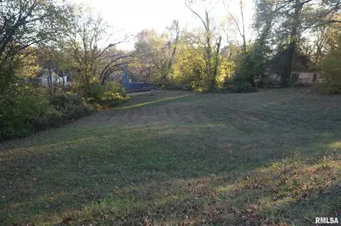 113 Nicholson St, Cobden, IL 62920 photo 45