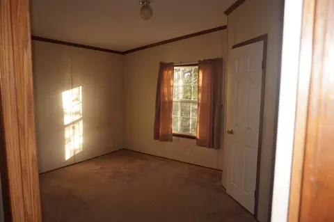 113 Nicholson St, Cobden, IL 62920 photo 21