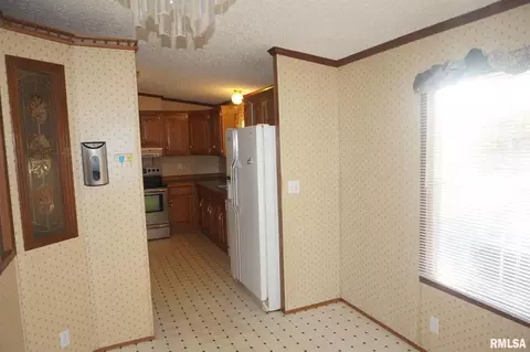 113 Nicholson St, Cobden, IL 62920 photo 8