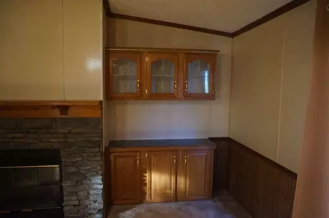 113 Nicholson St, Cobden, IL 62920 photo 26