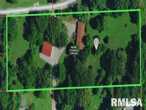 113 Nicholson St, Cobden, IL 62920 photo 49