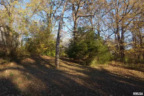 113 Nicholson St, Cobden, IL 62920 photo 38