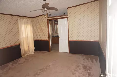 113 Nicholson St, Cobden, IL 62920 photo 10