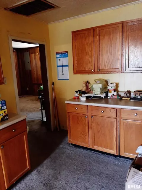 703 E 9th St, Johnston City, IL 62951 photo 15