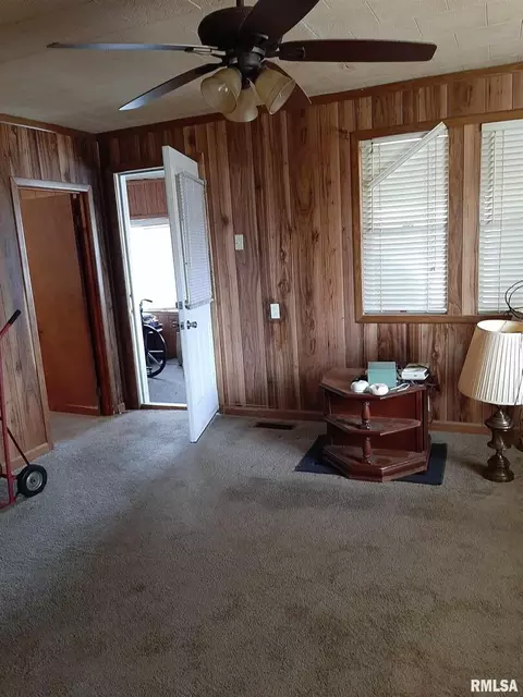 703 E 9th St, Johnston City, IL 62951 photo 19