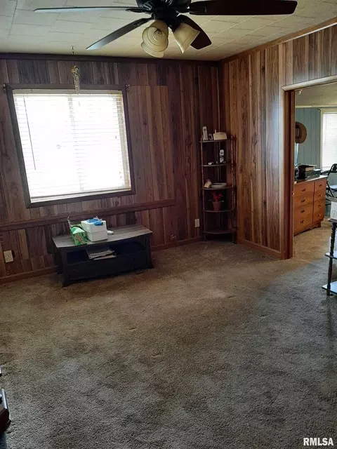 703 E 9th St, Johnston City, IL 62951 photo 18