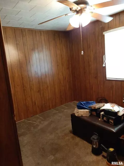703 E 9th St, Johnston City, IL 62951 photo 20