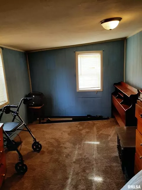 703 E 9th St, Johnston City, IL 62951 photo 17