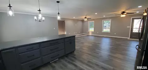 1009 Trolley St, Eldorado, IL 62930 photo 15