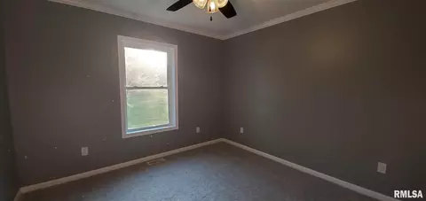 1009 Trolley St, Eldorado, IL 62930 photo 30
