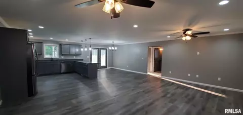 1009 Trolley St, Eldorado, IL 62930 photo 16