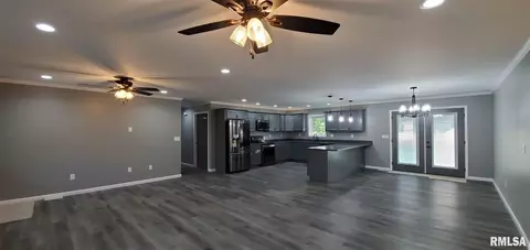1009 Trolley St, Eldorado, IL 62930 photo 11
