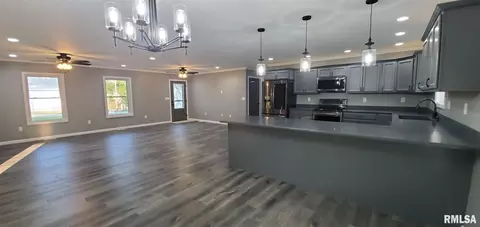 1009 Trolley St, Eldorado, IL 62930 photo 10