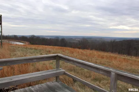 0000 Bruce Johnson Rd, Herod, IL 62947