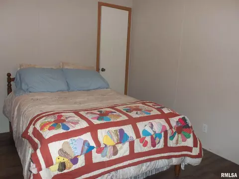 310 W 1st St, Ewing, IL 62836 photo 33