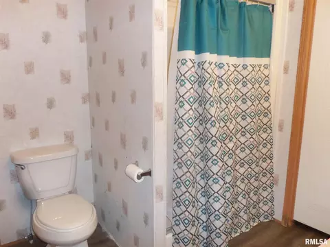 310 W 1st St, Ewing, IL 62836 photo 27