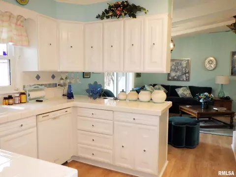 9 Crestview Dr, Metropolis, IL 62960 photo 9