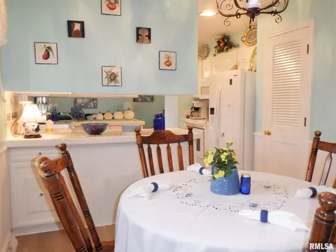 9 Crestview Dr, Metropolis, IL 62960 photo 13