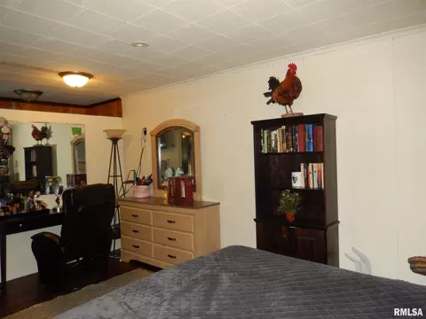 209 George St, Anna, IL 62906 photo 20