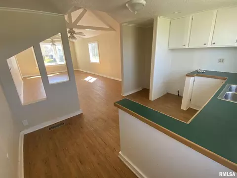 405 W Helen Ave, Christopher, IL 62822 photo 9