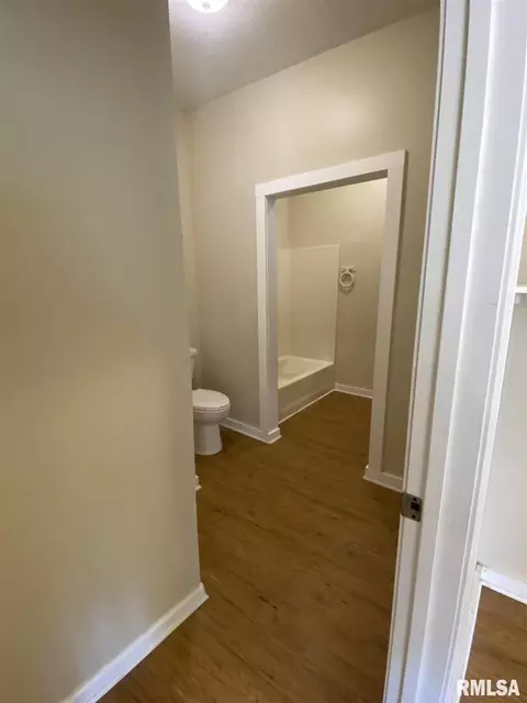 405 W Helen Ave, Christopher, IL 62822 photo 14